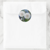 Sticker Rond bleu, beurtasse, plante, pissenlit, prairie, blanc (Sac)