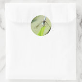 Sticker Rond Bleu libellule sur une feuille verte (Sac)