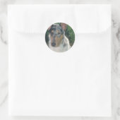 Sticker Rond Bleu Merle Collie Manteau lisse (Sac)