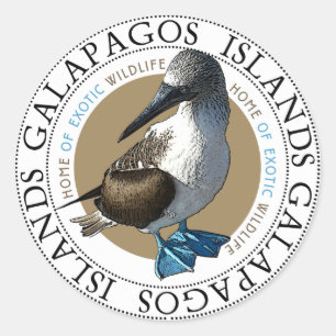 Sticker Rond Bleu Pied Booby Galapagos Îles