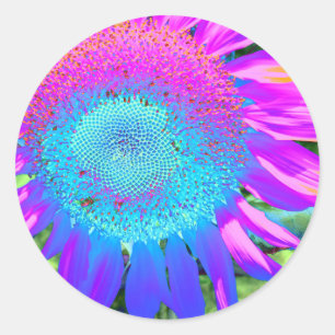 Sticker Rond Bleu rose rétro tournesol funky photo
