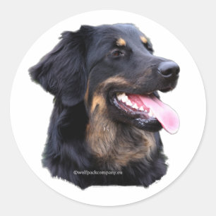 Sticker Rond blondz de zwart de hovawart