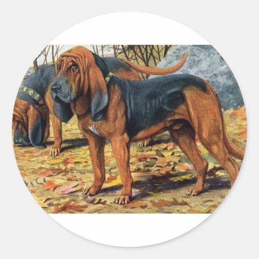 Sticker Rond Bloodhound (Devant)