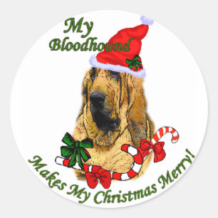 Sticker Rond Bloodhound Cadeaux de Noël