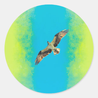 Sticker Rond Blue and yellow