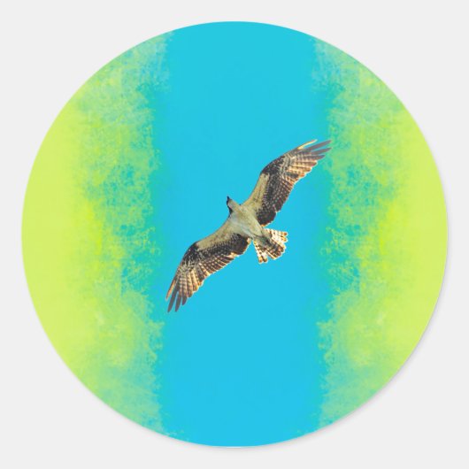 Sticker Rond Blue and yellow (Devant)