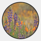 Sticker Rond Blue Desert Lupines Orange Poppies enveloppes phoq (Devant)