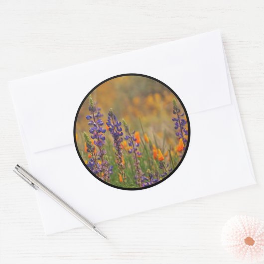 Sticker Rond Blue Desert Lupines Orange Poppies enveloppes phoq (Enveloppe)