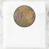 Sticker Rond Blue Desert Lupines Orange Poppies enveloppes phoq (Sac)