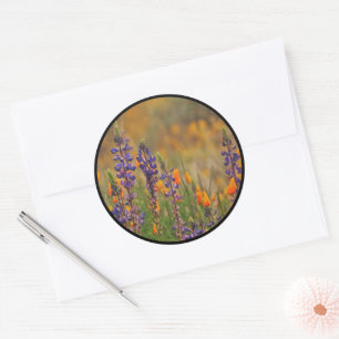 Sticker Rond Blue Desert Lupines Orange Poppies enveloppes phoq