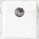 Sticker Rond Blue Eyes Kitty Collection (Sac)