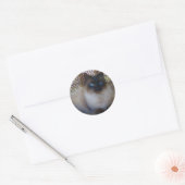 Sticker Rond Blue Eyes Kitty Collection (Enveloppe)