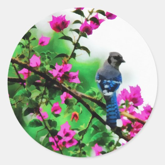 Sticker Rond Blue Jay (Devant)