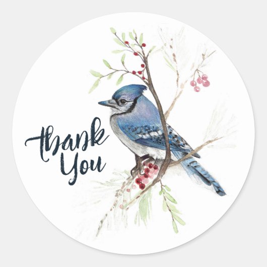 Sticker Rond Blue Jay Bird Berries Art (Devant)
