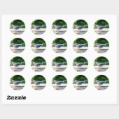 Sticker Rond Blue Jay obtient une cacahuète (Feuille)