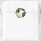 Sticker Rond Blue Merle Rough Collie Art Cadeaux (Sac)