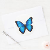 Sticker Rond Blue Morpho Brilliance (Enveloppe)