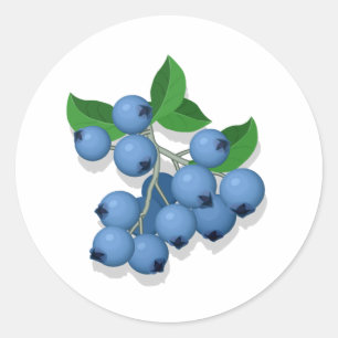 Sticker Rond Blueberges