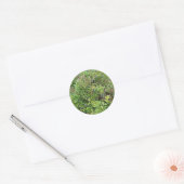 Sticker Rond Blueberry Bush (Enveloppe)