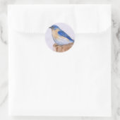 Sticker Rond Bluebird (Sac)