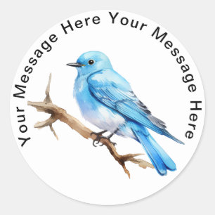 Sticker Rond Bluebird de montagne