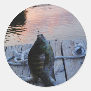 Sticker Rond Bluegill au coucher du soleil Lac Arrowhead