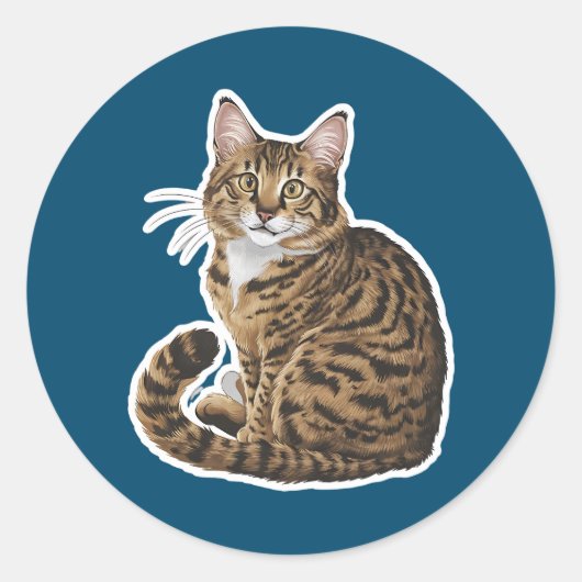 Sticker Rond Bobtail américain (Devant)