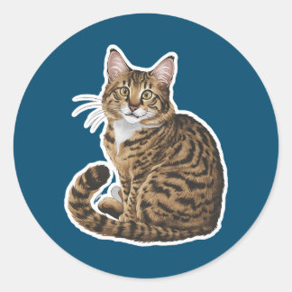 Sticker Rond Bobtail américain