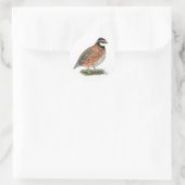 Sticker Rond Bobwhite Quail (Sac)
