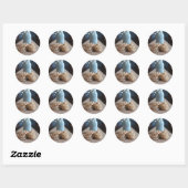 Sticker Rond Bocaux et biscuits (Feuille)