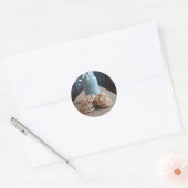 Sticker Rond Bocaux et biscuits (Enveloppe)