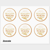 Sticker Rond Boho Premier Voyage Autour Du Soleil Premier Anniv (Feuille)