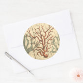 Sticker Rond Bois et petit corail (Enveloppe)