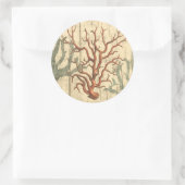 Sticker Rond Bois et petit corail (Sac)