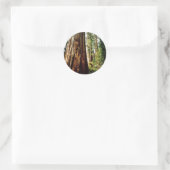 Sticker Rond Bois rouges - Yosemite (Sac)