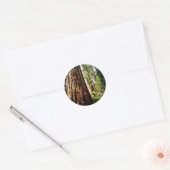 Sticker Rond Bois rouges - Yosemite (Enveloppe)