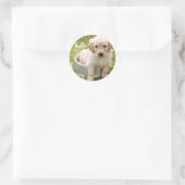 Sticker Rond Bonjour Golden Retriever Chien chiot (Sac)