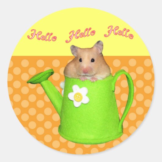 Sticker Rond Bonjour hello hamster (Devant)