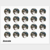 Sticker Rond Bonjour Kitten (Feuille)