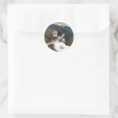 Sticker Rond Bonjour Kitten (Sac)