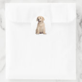 Sticker Rond Bonjour / Salut Labrador Retriever Puppy Doing Sti (Sac)