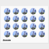 Sticker Rond Bonnets bleus du Texas (Feuille)