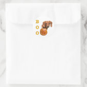 Sticker Rond Boo Dachshund (lisse) (Sac)