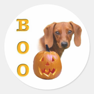 Sticker Rond Boo Dachshund (lisse)