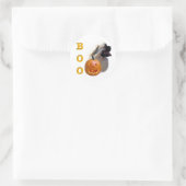 Sticker Rond Boo espagnol tibétain (Sac)