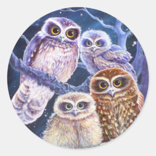 Sticker Rond Boobook Owl Family