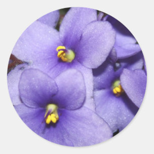 Sticker Rond Boquet violet