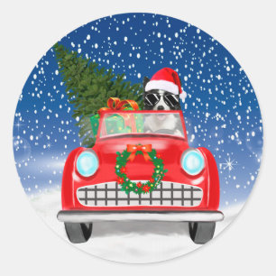 Sticker Rond Border Collie Chien Conduisant une Voiture Dans l