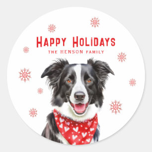 Sticker Rond Border Collie foulard rouge à coeur Noël Photo