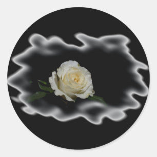 Sticker Rond Bords brûlés à la rose blanche